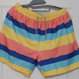 Colorful Striped Swim Shorts